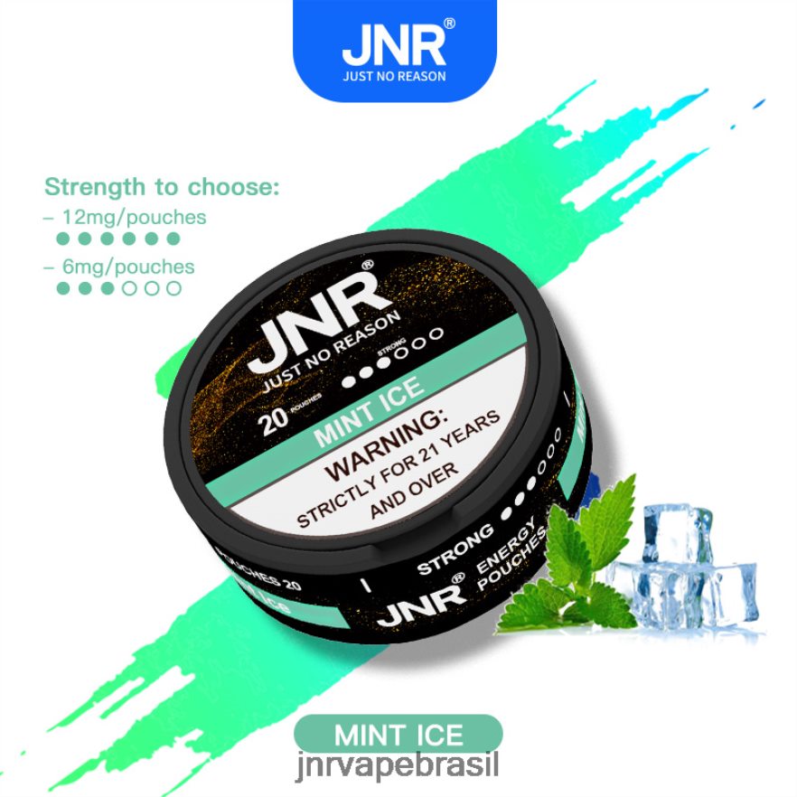 JNR VAPE BRASIL | bolsas de energia jnr gelo de menta 6F8NL8103