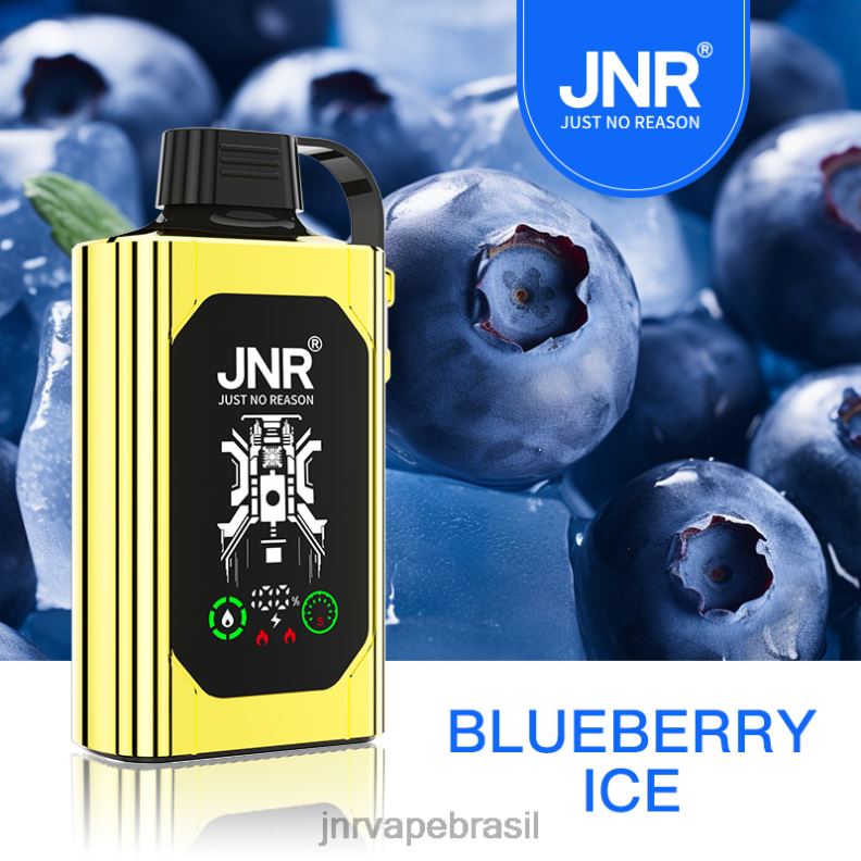 6246P75 JNR SHISHA caixa gelo de mirtilo | JNR VAPE SHOP