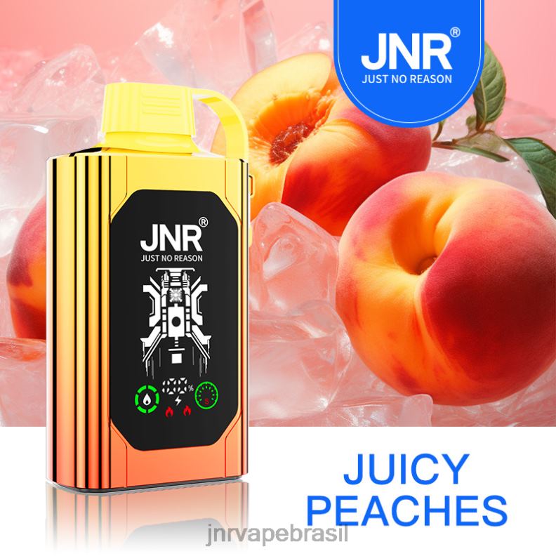6246P84 JNR SHISHA caixa pecegos suculentos | JNR VAPES FACTORY