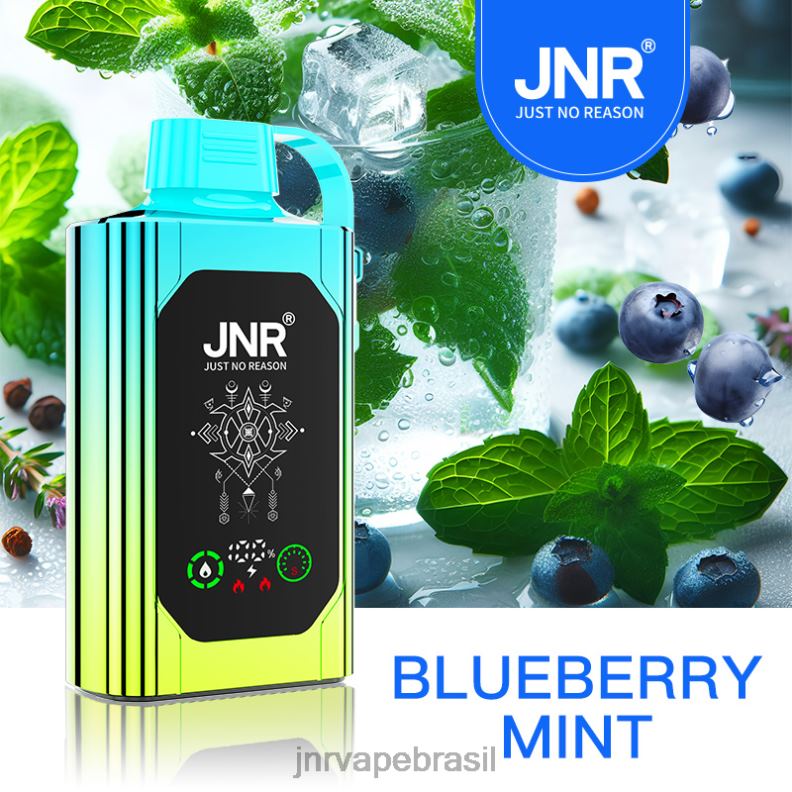 6246P88 JNR SHISHA caixa hortelã de mirtilo | JNR VAPE PODS