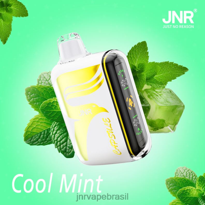6246P62 JNR cápsula menta refrescante | JNR VAPE BRASIL