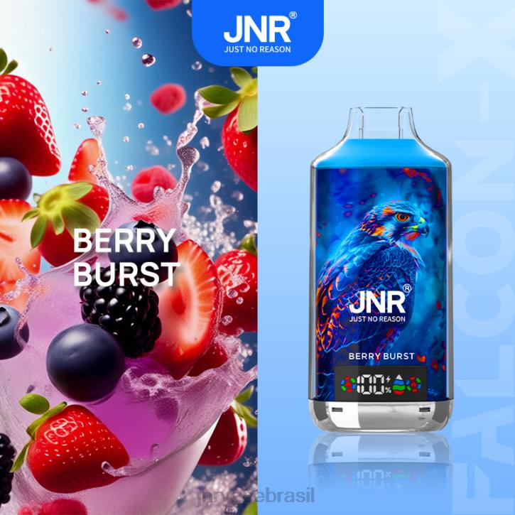 JNR VAPE FLAVOURS | JNR FALCON x 064V15
