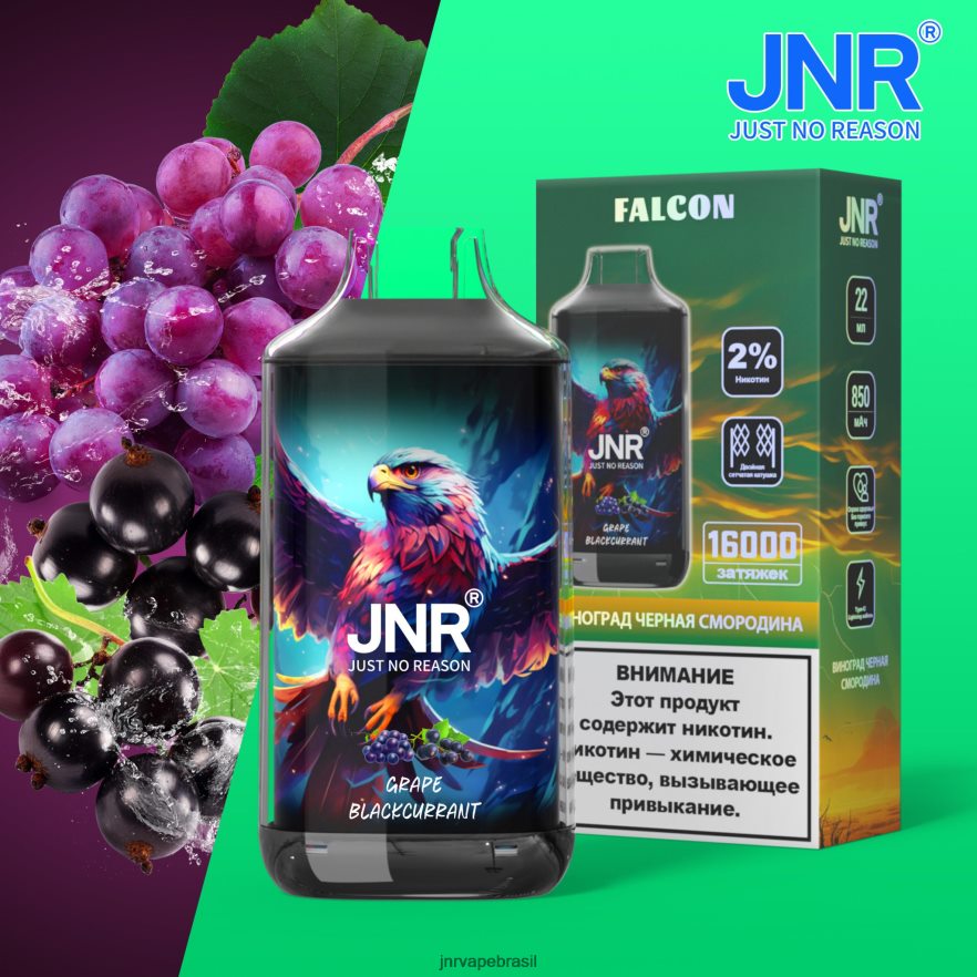JNR VAPE SHOP | falcão jnr groselha preta 6F8NL8211