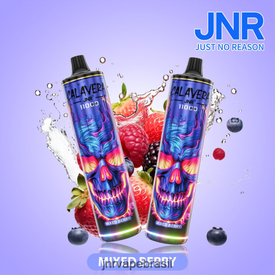 JNR VAPE REVIEW | jnr calavera baga mista 6F8NL8310