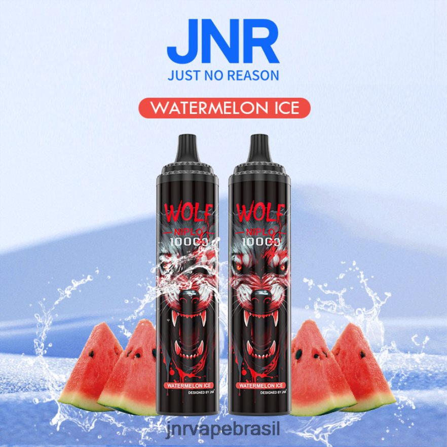 JNR VAPE BRASIL | jnr lobo niplo gelo de melancia 6F8NL8353