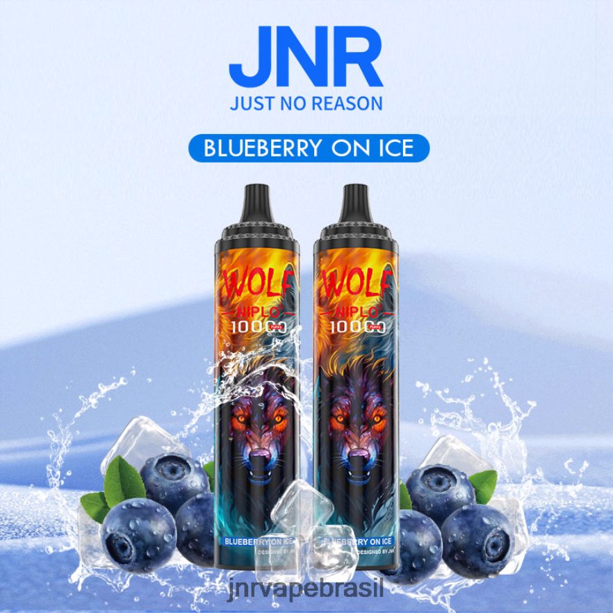 JNR VAPE NICOTINE | jnr lobo niplo mirtilo no gelo 6F8NL8358