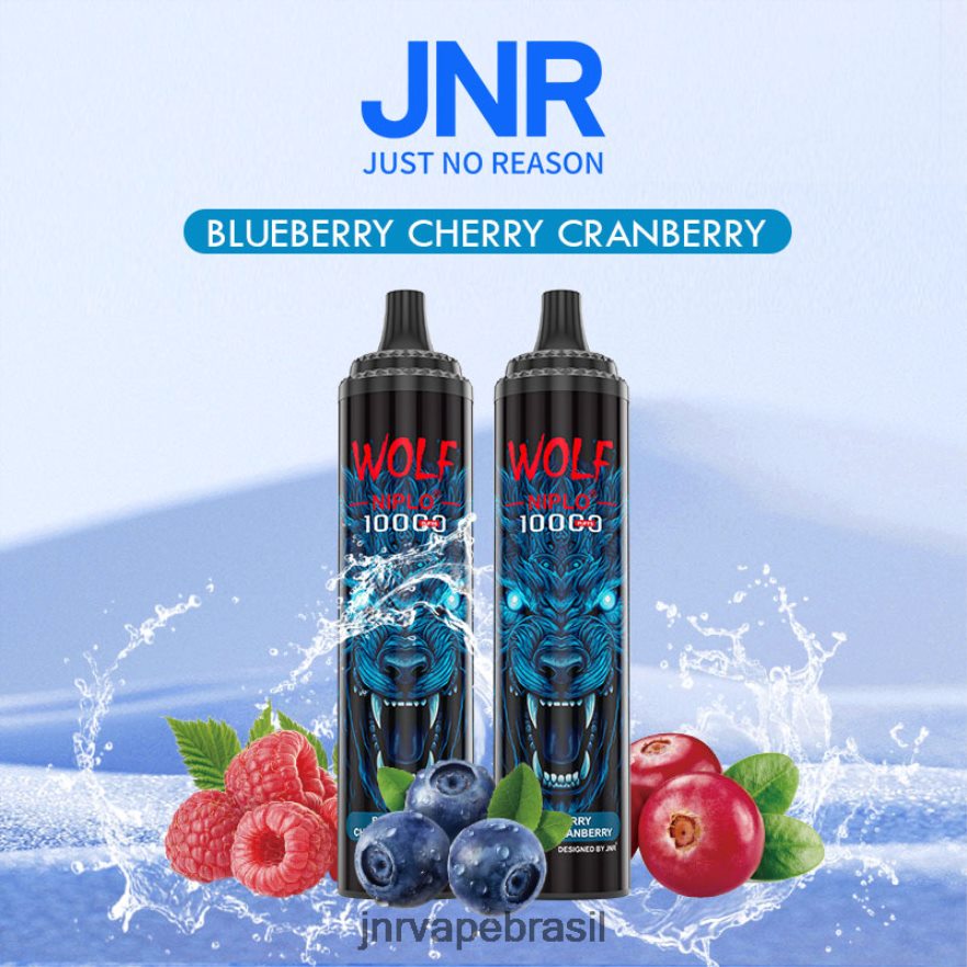 JNR VAPE PRICE | jnr lobo niplo mirtilo cereja cranberry 6F8NL8359