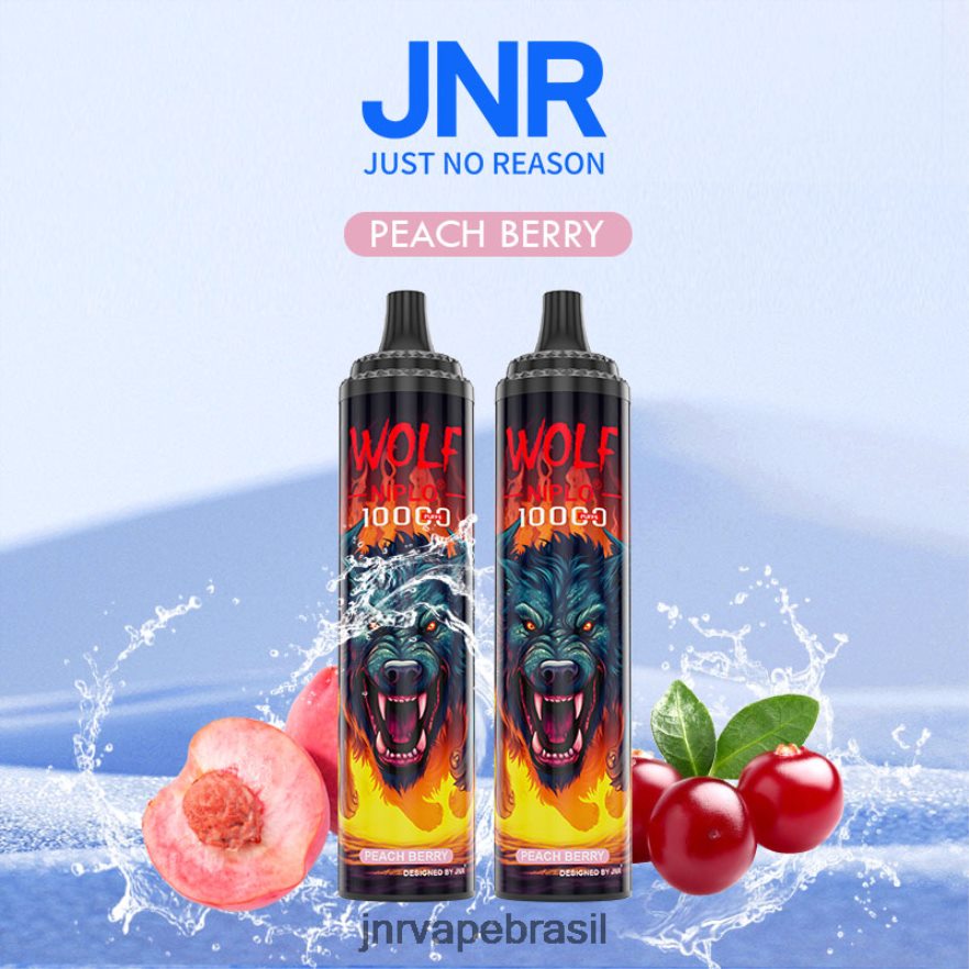 JNR VAPE REVIEW | jnr lobo niplo baga de pêssego 6F8NL8350