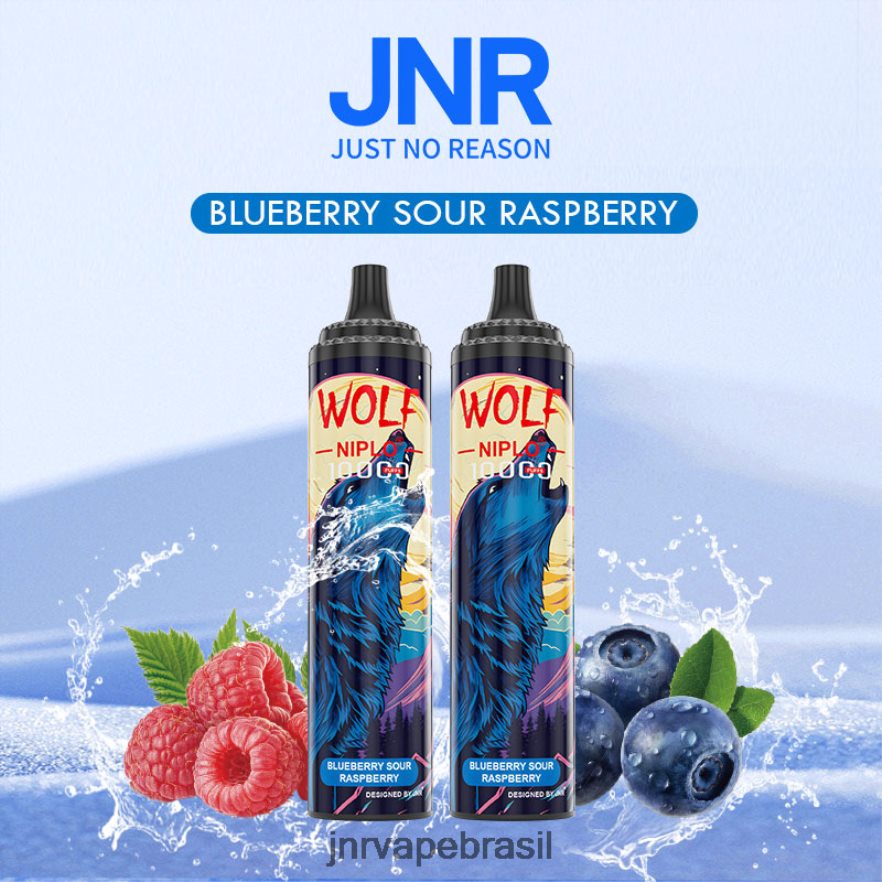 JNR VAPE REVIEW | jnr lobo niplo framboesa azeda de mirtilo 6F8NL8360