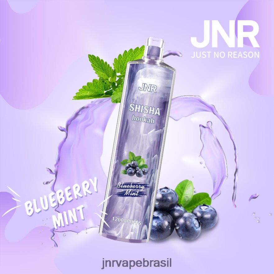 JNR VAPES WEBSITE | jnr shisha hortelã de mirtilo 6F8NL8172