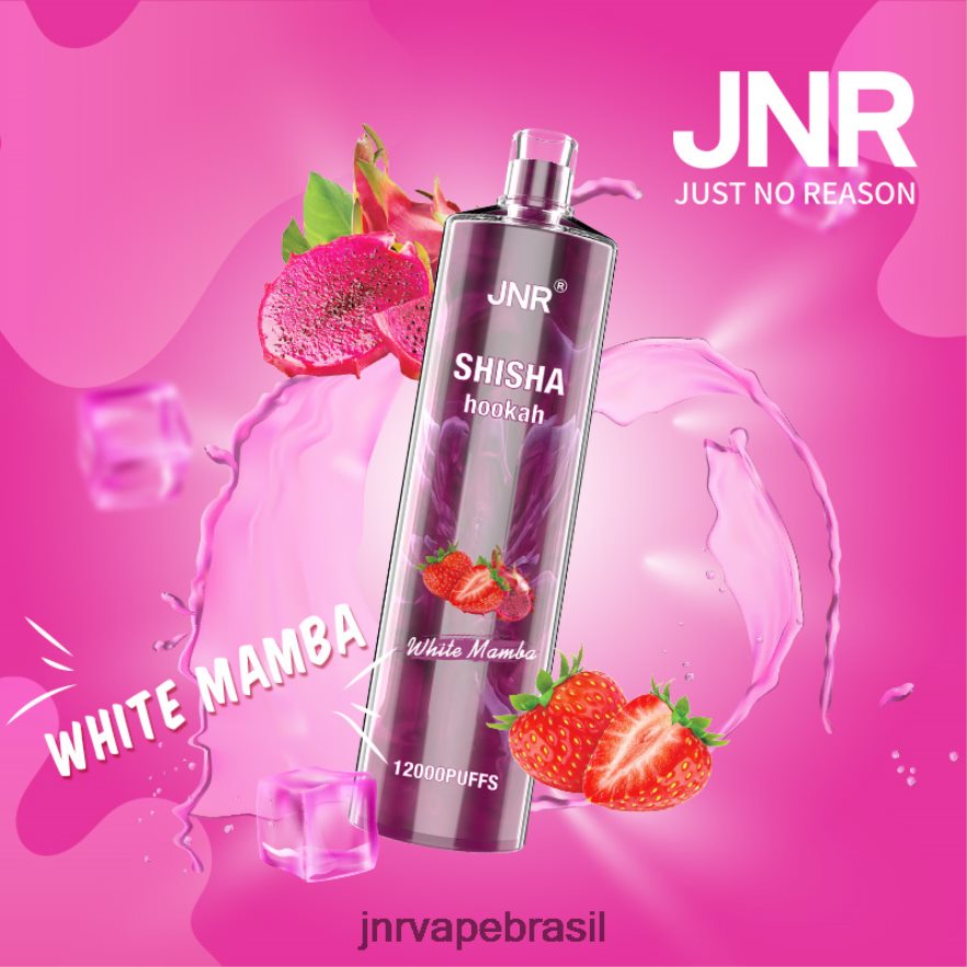 JNR VAPES WEBSITE | jnr shisha mamba branca 6F8NL8182