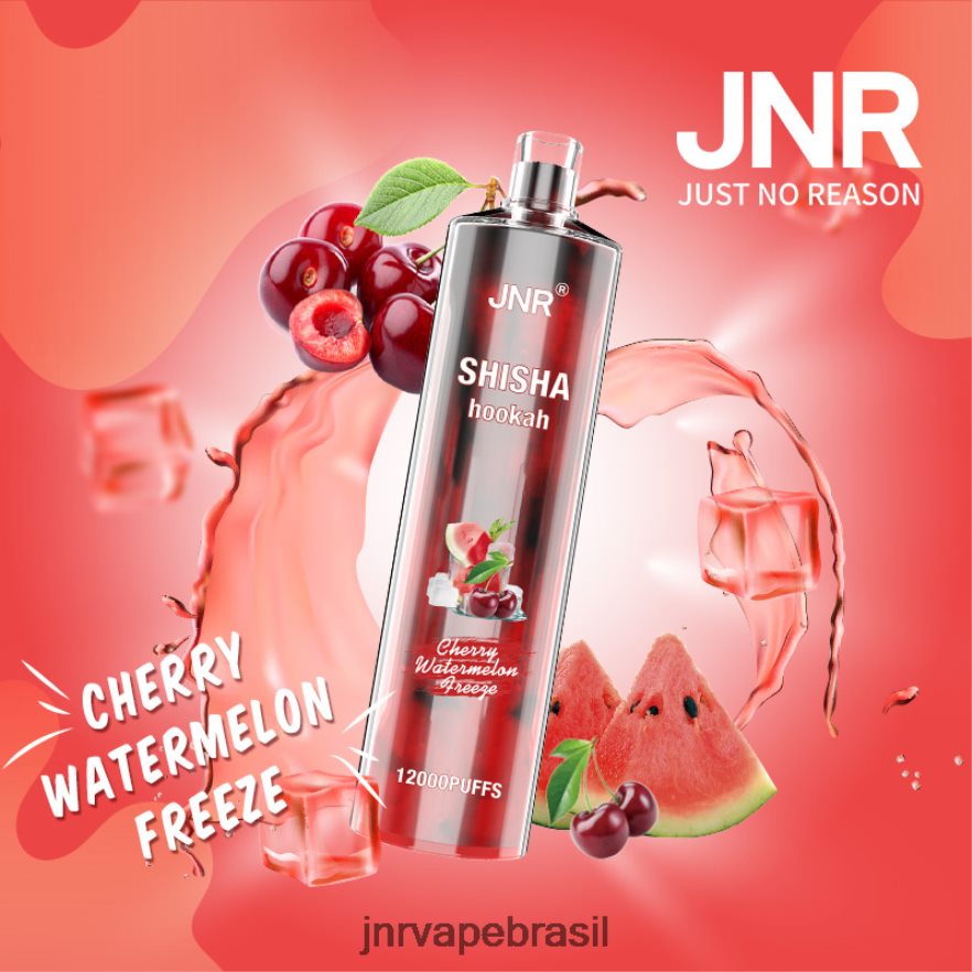 JNR VAPE BRASIL | jnr shisha congelamento de melancia cereja 6F8NL8163