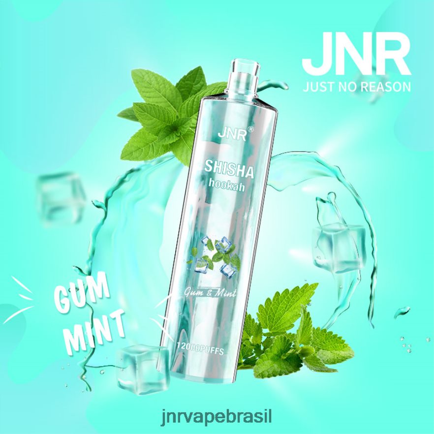 JNR VAPE FLAVOURS | jnr shisha goma e hortelã 6F8NL8164