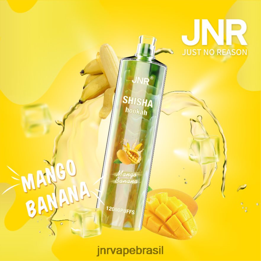 JNR VAPE PODS | jnr shisha banana manga 6F8NL8165