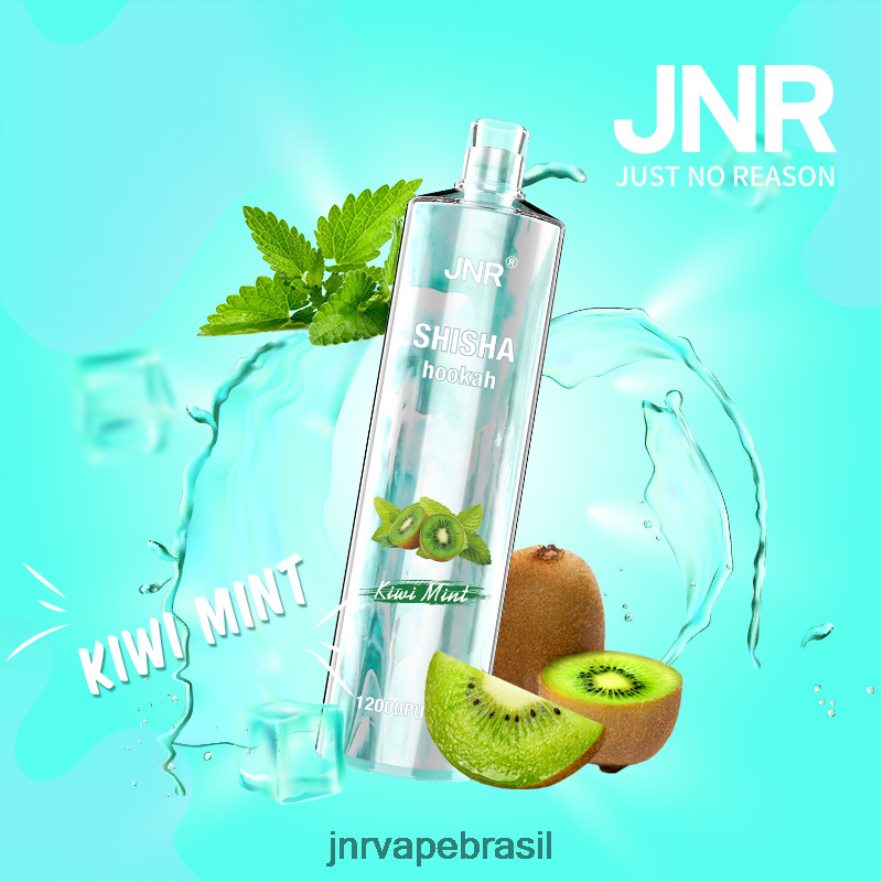 JNR VAPE PRICE | jnr shisha kiwi hortelã 6F8NL8169