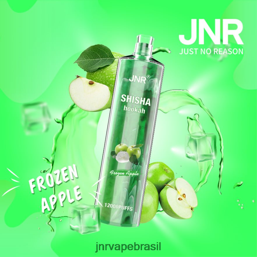 JNR VAPE PRICE | jnr shisha maçã congelada 6F8NL8189