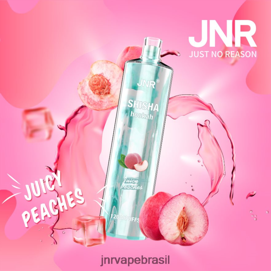 JNR VAPE REVIEW | jnr shisha pecegos suculentos 6F8NL8180