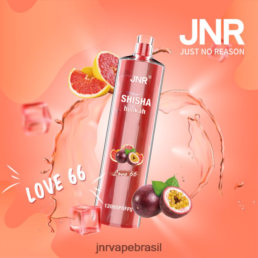 JNR VAPE SHOP | jnr shisha amor 66 6F8NL8181
