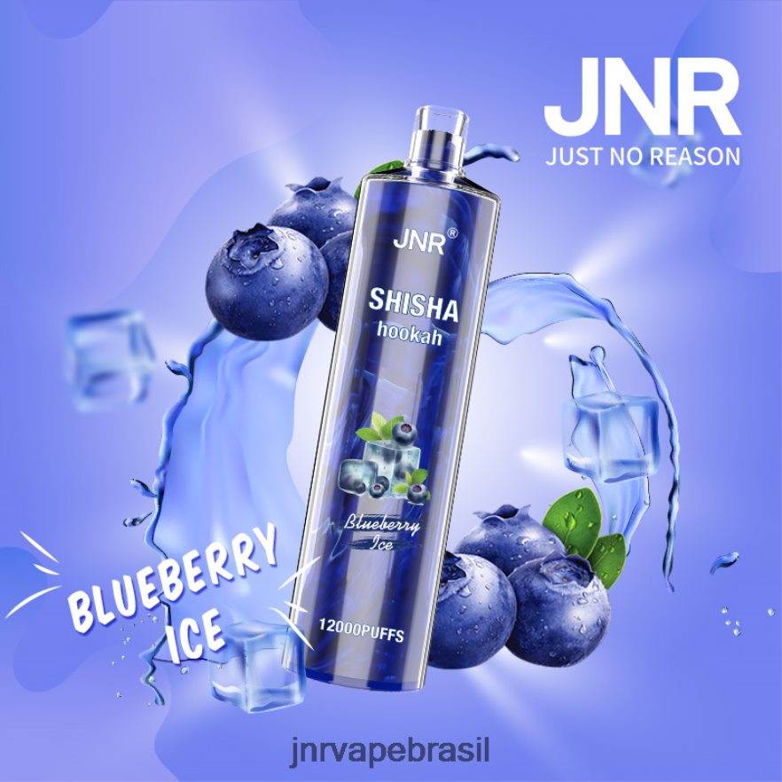 JNR VAPE SHOP | jnr shisha gelo de mirtilo 6F8NL8161