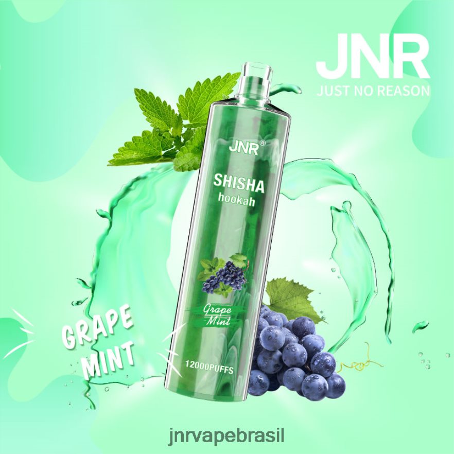 JNR VAPE SHOP | jnr shisha hortelã de uva 6F8NL8171