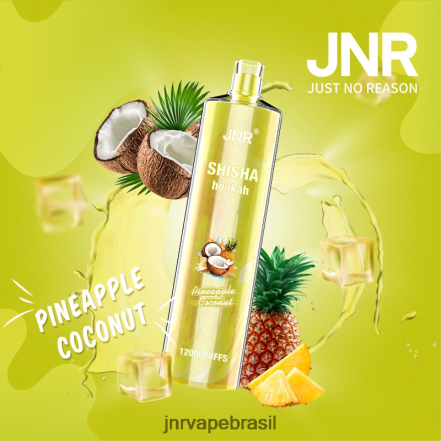 JNR VAPE | jnr shisha coco abacaxi 6F8NL8167